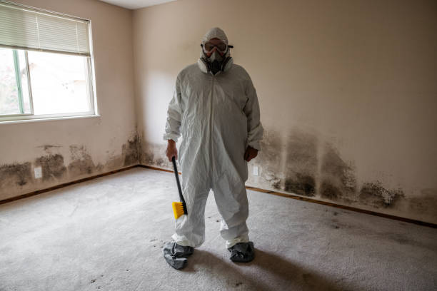 Best Commercial Mold Inspection  in Guilford Center, CT